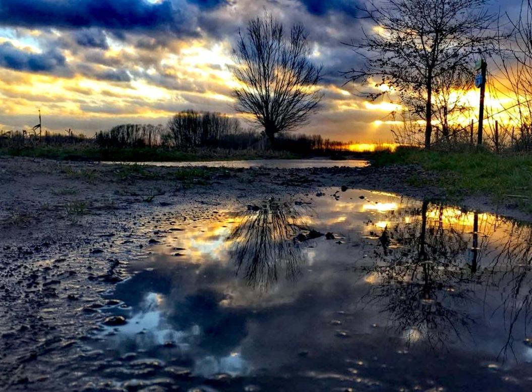 B&B Close2Ghent Heusden Luaran gambar